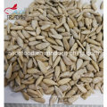 Exporting High Quality and Best Price Sunflower Seed Kernel